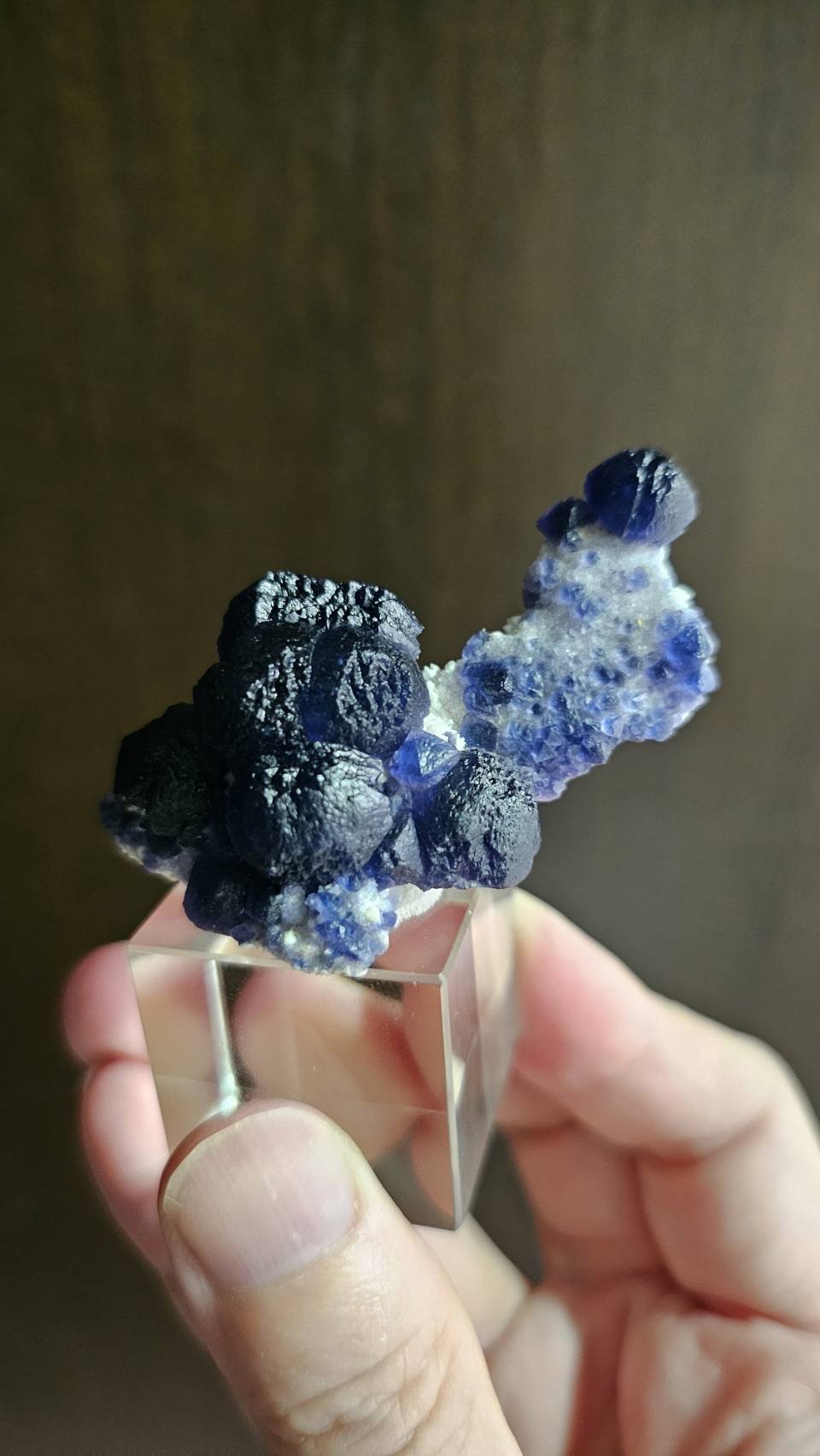 岩值 — 螢石原礦，深藍紫色立方晶體叢生於白色礦基